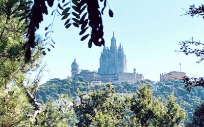 Las plantas comestibles y medicinales de Collserola