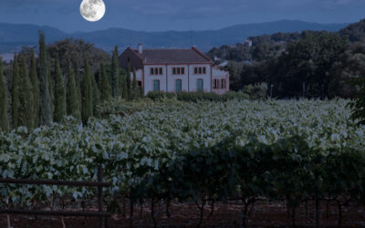 Tast de lluna plena. Un passeig pels aromes en lluna plena entre les vinyes del Celler de Can Roda