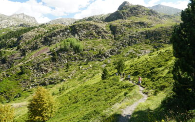 Vacaciones en el Pallars: un viaje a la esencia de la naturaleza, entre flores y cultura