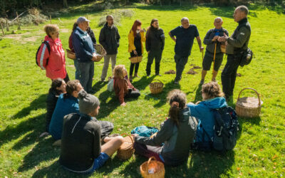 Curs: Fongs i Bolets de la Catalunya Central