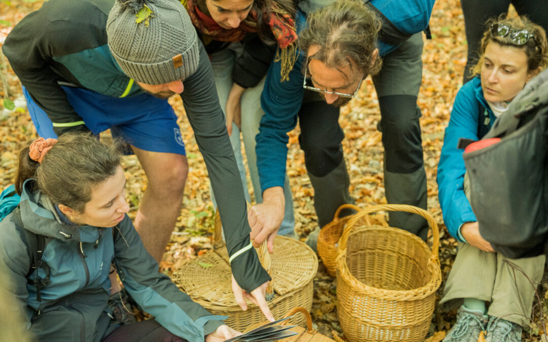 Curso: Setas y Hongos del Montseny