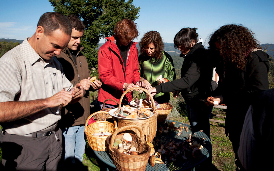 Curs: Fongs i Bolets del Montseny