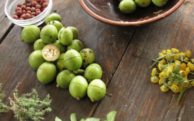 Taller de Ratafia en el Montseny