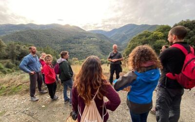 Curso: Setas y Hongos del Pirineo (todo el día)