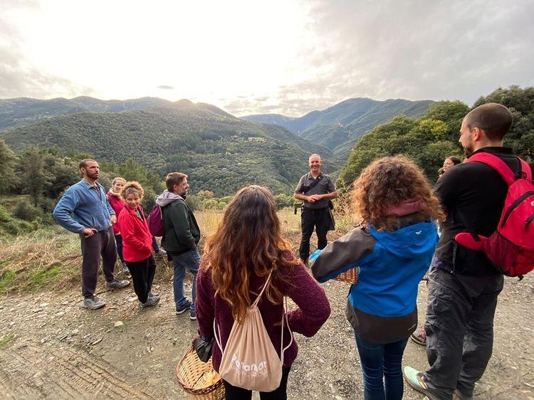 Curs: Fongs i Bolets del Pirineu (tot el dia)